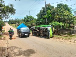Mobil Fuso Bermuatan Biji Sawit Terguling di Keputran Sukoharjo Pringsewu