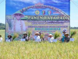 Pj Bupati pringsewu Panen Raya Padi Varietas unggul Baru.