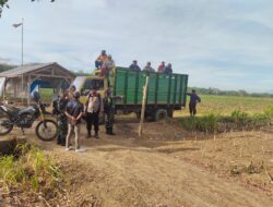 Tujuh Anak Tuha  di Pulangkan ke keluarga Usai diPeriksa