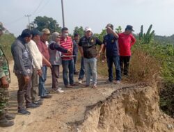 Pj Bupati Dan Kadis BMBK lampung Tinjau Jalan Provinsi Ruas Simpang Kiluan – Kota agung Timur