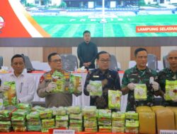Polda Lampung Musnahkan Ratusan Kilo Narkotik