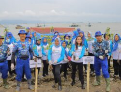 Sambut HUT Ke -73 Ditpolairut Polda Lampung Tanam 2000 Mangrove