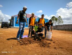 Peduli Lingkungan, PWI Pesawaran Tanam Ratusan Bibit Pohon