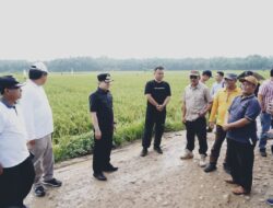 Pj.Bupati Pringsewu Marindo  Tinjau Jalan Rusak