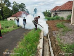 Penyemprotan Fogging Antisipasi Demam Berdarah Tanggamus