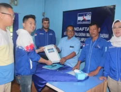 Melihat Peta politik kontestasi pilkada Lampung selatan Paska Bercerainya Nanang Dan Pandu Di pilkada 2024