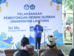 UNILA Melaksanakan pemotongan Hewan Kurban sebanyak 32 ekor Sapi Dan 17 ekor Kambing