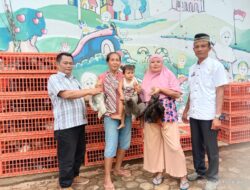 Pekon Waya Krui Bagikan  Ayam Kampung Hidup Kepada KWT Dan Keluarga Stunting