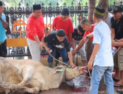 Idul Adha 1445.H Polda Lampung Sembeli Hewan Kurban Sebanyak 44 ekor Sapi Dan Kambing