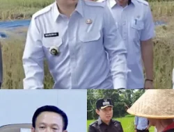 Pj Bupati Pringsewu Mendapatkan nilai Baik Pelayanan  dan Pengendalian Inplasi