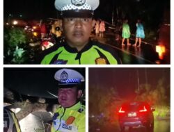 Sat Lantas Polres Tanggamus Bersama Damkar Warga Evakuasi Pohon Tumbang