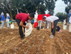 Unila Gelar Lomba Menanam Sayuran Dies Natalis ke-59