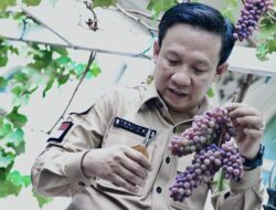 “Pj.Bupati Marindo  Buka Bimtek : Prospek Budidaya Anggur Masih Terbuka Lebar di Pringsewu “