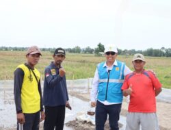 Refleksi Hari Pahlawan Lokal hero Inspuratif Supatmin Berhasil wujudkan ketahan pangan  diLampung Srlatan.