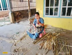 Bambu: Identitas dan Potensi Ekonomi Kabupaten Pringsewu