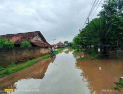 Banjir Melanda Pekon Sidoarjo, Puluhan Rumah Terendam hingga Setengah Pinggang Orang Dewasa