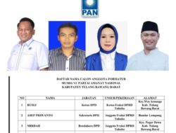 Bacalon ketua DPD PAN Tulang Bawang Barat PNS Aktif