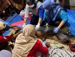 Tragis! Nenek di Way Kanan Tewas Diduga Diserang Beruang Saat di Kebun Kopi