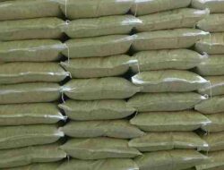 Harga Beras Meroket Sepekan Terakhir, Naik Dua Kali