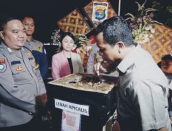 Bupati Pringsewu Dukung #SeruputMadu  Angkat UMKM, Dongkrak Ekonomi Daerah