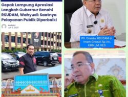 Lapor Pak Gub RSUD Abdul Moeloek Lakukan PHK Sepihak.