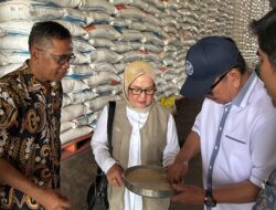 Anggota Komisi IV DPR RI Temukan Beras Berkutu Di Gudang Bulog.
