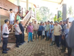 Ratusan Masyarakat Adat Buay Nyata Pasang Patok Batas Wilayah Adat DiLahan HGU Eks PT .TI.