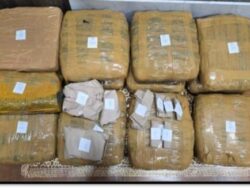 13.8 Kg Sejenis Ganja Berhasil diungkap Direktorat Reserse Narkoba Polda Lampung