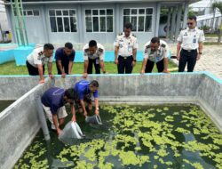 Dukung Kemandirian Pangan Melalui Program Perikanan, Lapas Way Kanan Tebar 800 Bibit Ikan Nila dan Ikan Gurame