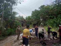 Jalan Provinsi Rusak Parah, Warga Dusun Tanjung Mas Turun Tangan Gotong Royong Perbaiki Akses Utama