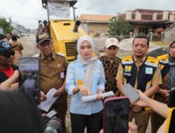 Wagub Jihan Nurlela Tinjau Perbaikan Ruas Jalan Pringsewu–Pardasuka