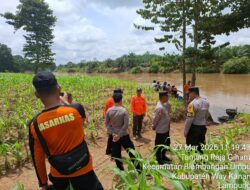 Diduga 2 Orang Hanyut Terbawa Arus Sungai Way Umpu, Polisi dan BPBD Way Kanan Masih Melakukan Pencarian