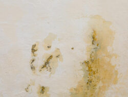 Dinding Hunian Menguning Karena Rembesan Air? Ini Solusinya