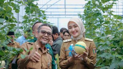 Wagub Jihan Nurlela Panen Raya Melon di SMK Negeri Pertanian Pembangunan Natar