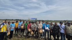 Akselerasi Ketahanan Pangan Daerah, PLN Hadirkan Listrik Andal Untuk Pertanian Moderen.