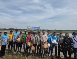 Akselerasi Ketahanan Pangan Daerah, PLN Hadirkan Listrik Andal Untuk Pertanian Moderen.