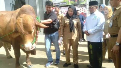 Pemkot Bandar Lampung Menyalurkan Hewan Kurban 161 Ekor kepada Masyarakat Bandar lampung