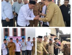 Bupati Tangganus Serahkan Sapi Bantuan Presiden Prabowo Seberat 1 Ton Lebih.