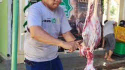 Qurban 1447.H di Masjid Al iman Berjalan Lancar dan penuh Kebersamaan