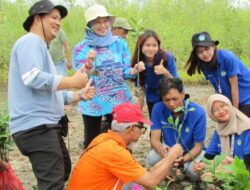 Proteksi Pesisir, Mahasiswa KKN Unila Tanam 1.000 Mangrove