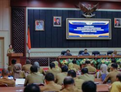 Pemprov Gelar Sosialisasi Reviu Dokumen Perencanaan dan Keuangan Daerah Berbasis Digital