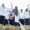 Gubernur Rahmat Mirzani Djausal didampingi Bupati Mesuji Hj. Elfianah Khamami melakukan pelepasan total 33.000 bibit ikan di Jembatan Pasar KTM