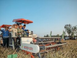 Gubernur Lampung dan Pangdam XXI/Radin Inten Ikuti Panen Raya TNI Serentak, Dukung Swasembada Pangan Nasional