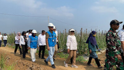 Bupati Lampung Timur, Ela Siti Nuryamah, mengapresiasi dukungan PLN dalam menghadirkan jaringan listrik hingga ke area persawahan.