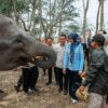 Kunjungan Komisi IV DPR RI, Pemprov Lampung Perkuat Komitmen Mitigasi Karhutla Taman Nasional Way Kambas