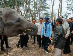 Kunjungan Komisi IV DPR RI, Pemprov Lampung Perkuat Komitmen Mitigasi Karhutla Taman Nasional Way Kambas