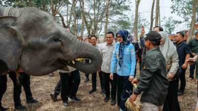 Kunjungan Komisi IV DPR RI, Pemprov Lampung Perkuat Komitmen Mitigasi Karhutla Taman Nasional Way Kambas