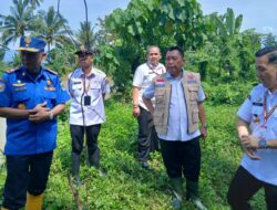 Sekda Tanggamus Tinjau Tanggul Jebol  Waybelu