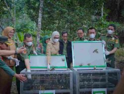 Wagub Jihan Nurlela Dorong penguatan Tata Kelola Hutan Lampung yang  Berintegritas dan Berkelanjutan