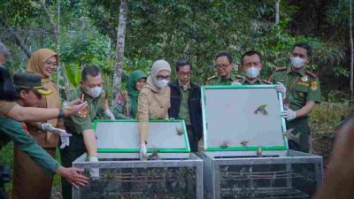 Wagub Jihan Nurlela Dorong penguatan Tata Kelola Hutan Lampung yang  Berintegritas dan Berkelanjutan